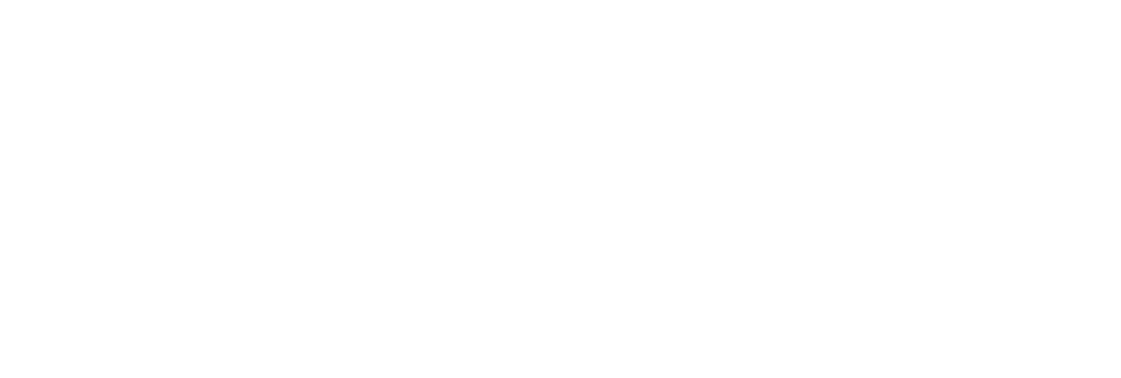 DVDV Logo